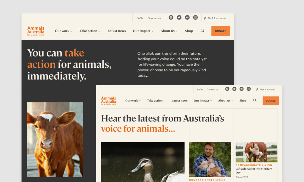 Screenshots from the Animals Australia website, demonstrating the effectiveness of their contrasting colour palette. 