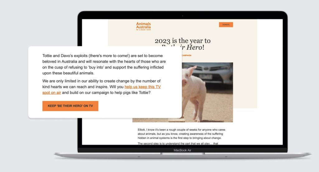 Screenshot from an Animals Australia email showing the use of microcopy on a CTA button. 