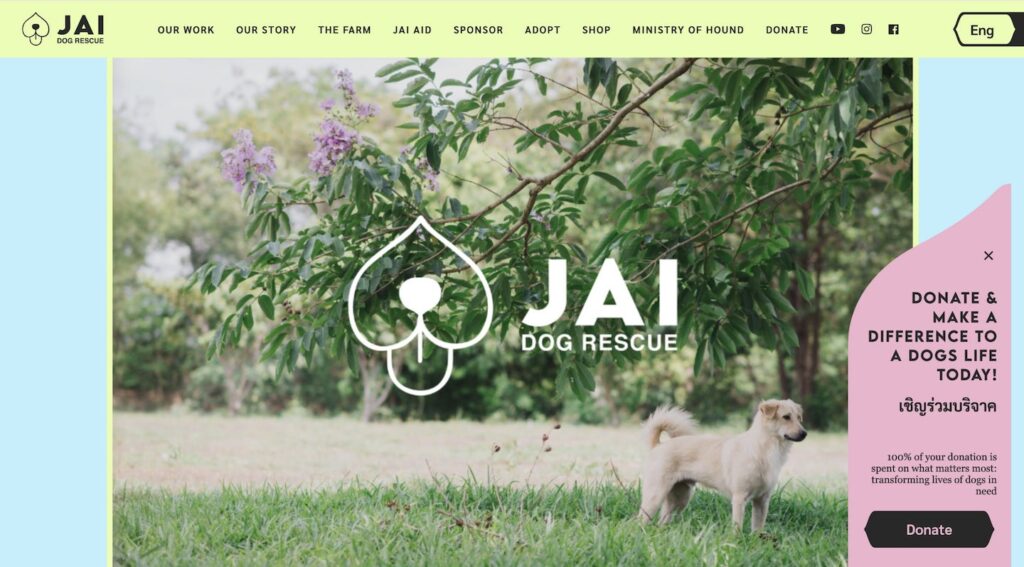 Screenshot from the 'Jai Dog Rescue' website showing the 'donate' button that tracks down the right-hand side of their homepage. 